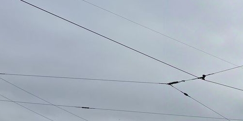 4-комн квартира проспект Добролюбова, 2