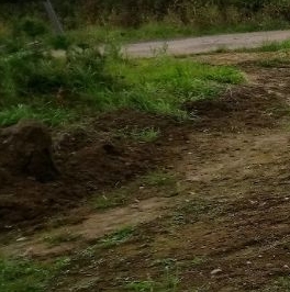 Продажа земли Никольское кп, 109 Продажа земли Никольское кп, 109