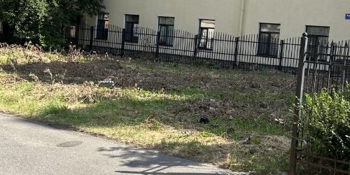 Студия переулок Майков, 4а