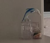 Продать Квартиры вторичка Колпино, Раумская улица, 11   