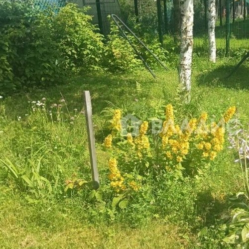 Коттедж/дом Грибное садоводческий массив, Грибное СНТ, улица Боровая, 202