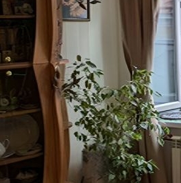 Продажа 4-комн квартиры на вторичном рынке переулок Гривцова, 3