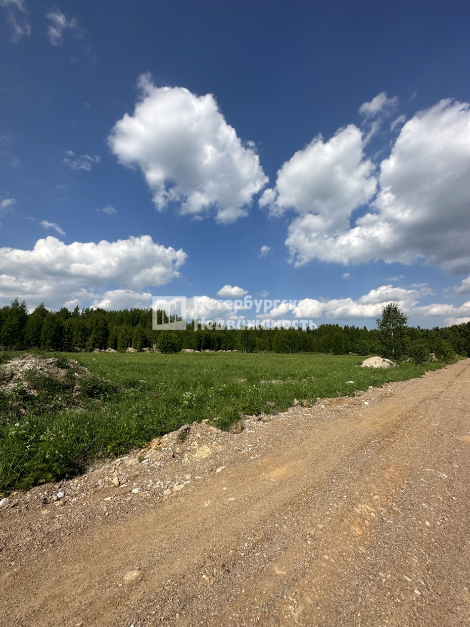 Продажа земли деревня Пухолово, деревня Пухолово,