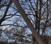 Продать Квартиры вторичка д. Лампово, улица Совхозная, 15   