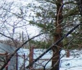 Продать Дачи, коттеджи, загородные дома Ваганово садовый массив, Бирюса СНТ, 25   