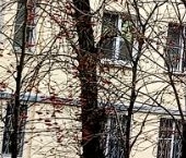 Продать Квартиры вторичка Новая Басманная улица, 4-6С3   