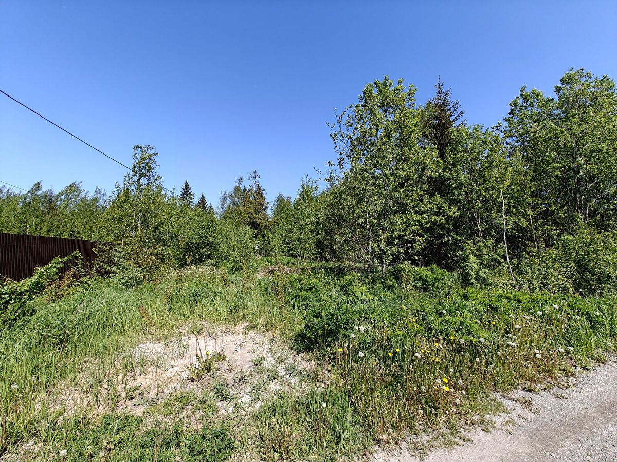 Продажа земли Авлога СНТ, 1-я линия, 1