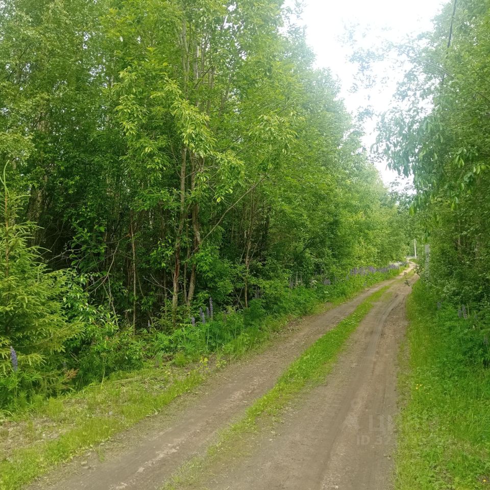 Продажа земли Витязь СНТ