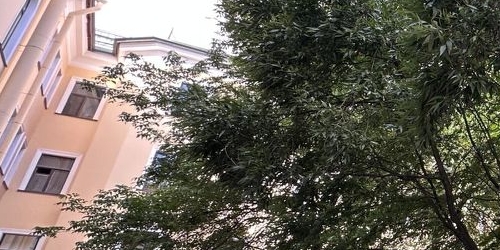 2-комн квартира Невский проспект, 158