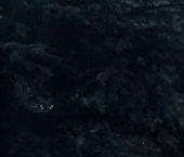 Продать Дачи, коттеджи, загородные дома Лебедь садовое товарищество, переулок Гаванский  6 