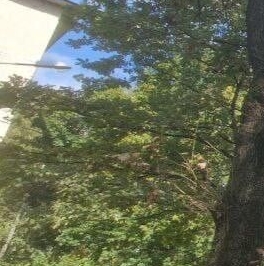 Продажа 2-комн квартиры на вторичном рынке Балашиха, улица Карбышева, 13 Продажа 2-комн квартиры на вторичном рынке Балашиха, улица Карбышева, 13