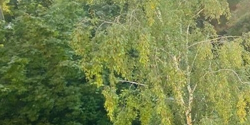 4-комн квартира Штурвальная улица, 5С1