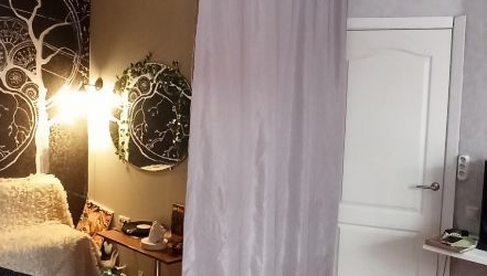 1-комн квартира Пушкин, Прямой переулок, 3