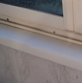 Продажа 2-комн квартиры на вторичном рынке улица Ленсовета, 67К1 Продажа 2-комн квартиры на вторичном рынке улица Ленсовета, 67К1