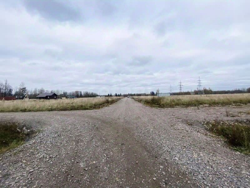 Продажа земли Колпино, Северная Славянка дп