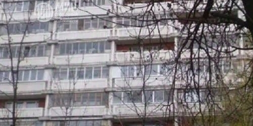 3-комн квартира Шепелюгинская улица, 10К1