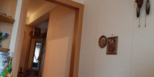 3-комн квартира Новое Девяткино дер., Новое Девяткино дер.,  д. 6