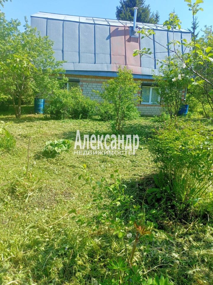 Продажа дома д. Большие Борницы, 52