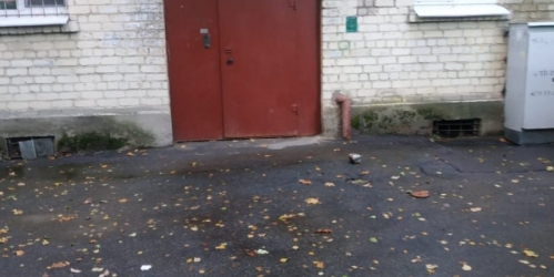 1-комн квартира Павловск г., Лебединая ул. ,  д. 20