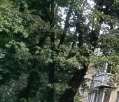 Продать Квартиры вторичка Солнечногорск, улица Военный городок, 27   