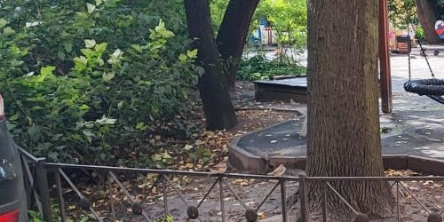 3-комн квартира переулок Гривцова, 3