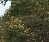 Продать Квартиры вторичка Социалистическая улица, 26-28/15   