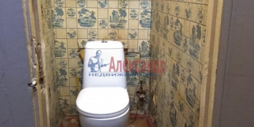 2-комн квартира Александровской Фермы просп.,  д. 5