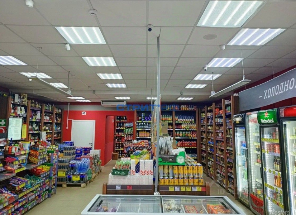 Продажа отдельного здания Старая Купавна, ул Большая Московская,  д. 57