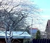 Продать Дачи, коттеджи, загородные дома Пушкин, Коллективный Сад № 3 СНТ, аллея Рябиновая, 11   