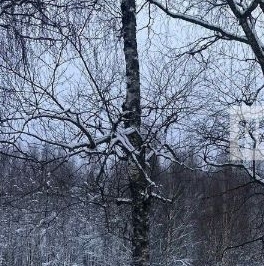 Продажа земли Лемболовская твердыня массив, улица Сосновая