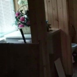 Продажа дома Белоостров СНТ, 7-я линия, 172