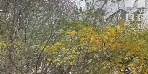 1-комн квартира 3-я Парковая улица, 46К5