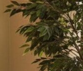 Продать Квартиры вторичка Ленинский проспект, 104   