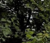 Продать Квартиры вторичка Московский проспект, 171   