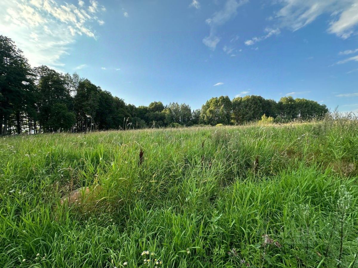 Продажа земли Вишневский Берег кп, пос. Вишневка