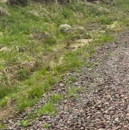 Продажа земли У Лукоморья СНТ