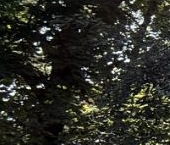 Продать Квартиры вторичка Чехов, улица Полиграфистов, 12   