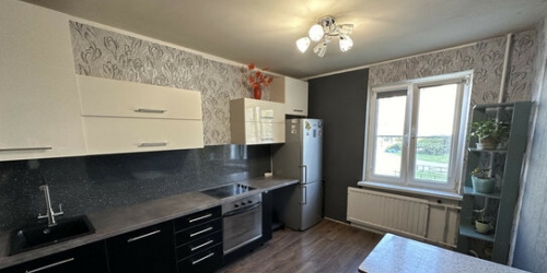 1-комн квартира ул Оптиков,  д. 52,  к. 3