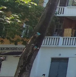 Продажа 1-комн квартиры на вторичном рынке улица Летчика Бабушкина, 21/2 Продажа 1-комн квартиры на вторичном рынке улица Летчика Бабушкина, 21/2