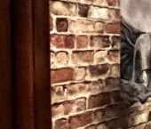 Продать Квартиры вторичка набережная Реки Фонтанки, 94   