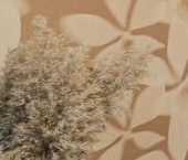 Продать Квартиры вторичка Сестрорецк, Приморское шоссе, 279   