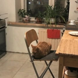 Продажа 1-комн квартиры на вторичном рынке Художников пр-кт,  д. 9 к1