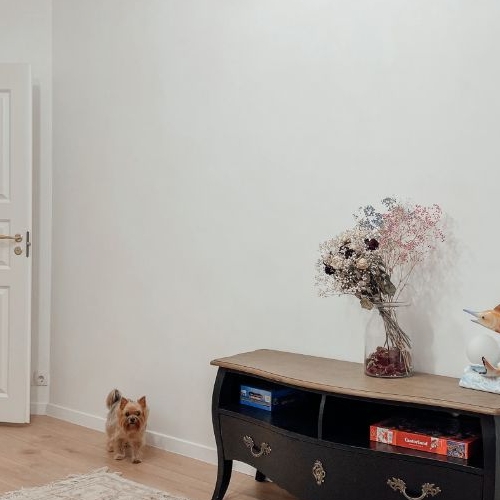 2-комн квартира Лиговский проспект, 235Б