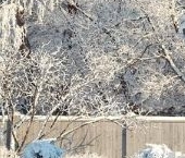 Продать Дачи, коттеджи, загородные дома Высокий Стиль кп, д. Васкелово   