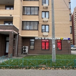 Продажа 1-комн квартиры на вторичном рынке Чкаловский, Чкаловская улица,  д. 4