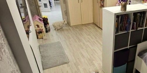 2-комн квартира проспект Народного ополчения, 10