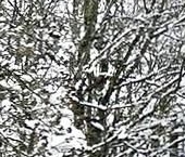 Продать Квартиры вторичка пос. Песочный, Белоостровское шоссе, 1а   