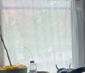 Продать Квартиры вторичка Опалиха мкр, улица Пришвина, 5   