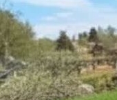 Продать Земельные участки, земля Севкабель СНТ   