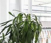 Продать Квартиры вторичка Мясницкая улица, 13С10   